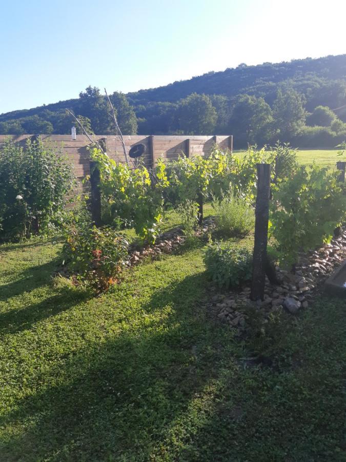 Atelier Natur'L Les Ronzieres Saint-Paul-d'Uzore Exteriér fotografie