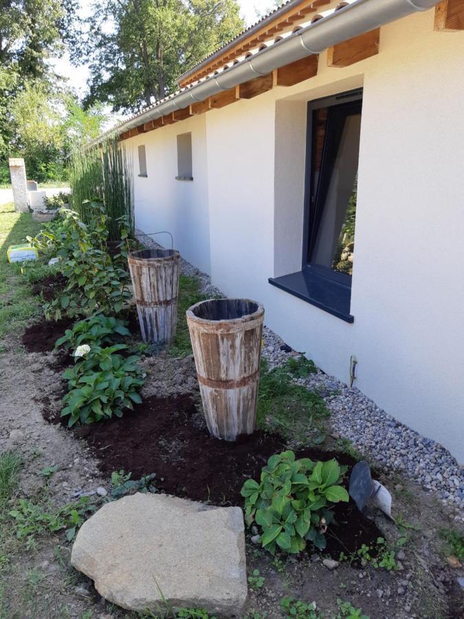 Atelier Natur'L Les Ronzieres Saint-Paul-d'Uzore Exteriér fotografie